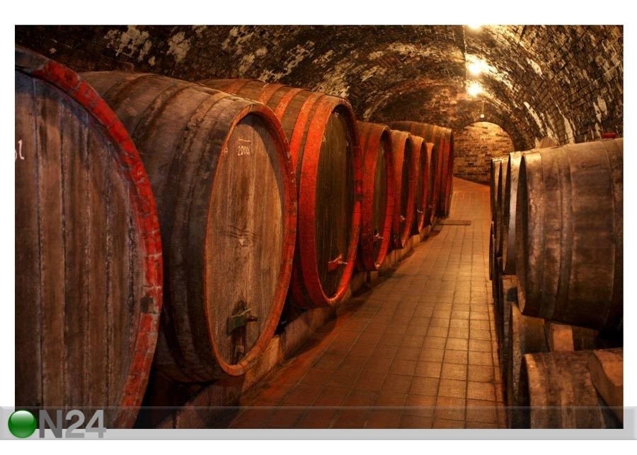 Pilt Wine Barrels Stacked in the Old Cellar 120x80 cm suurendatud
