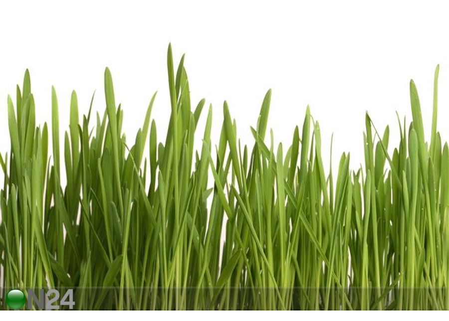 Pilt Young Juicy Green Grass 180x120 cm suurendatud