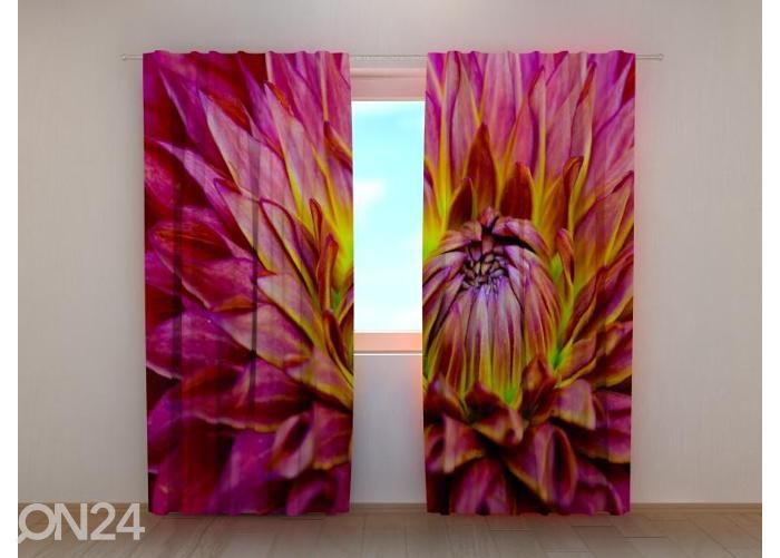 Pimendav fotokardin Delicate Dahlia Flower 240x220 cm suurendatud
