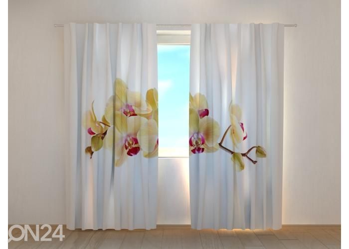 Pimendav fotokardin Golden Orchid on White 240x220 cm suurendatud