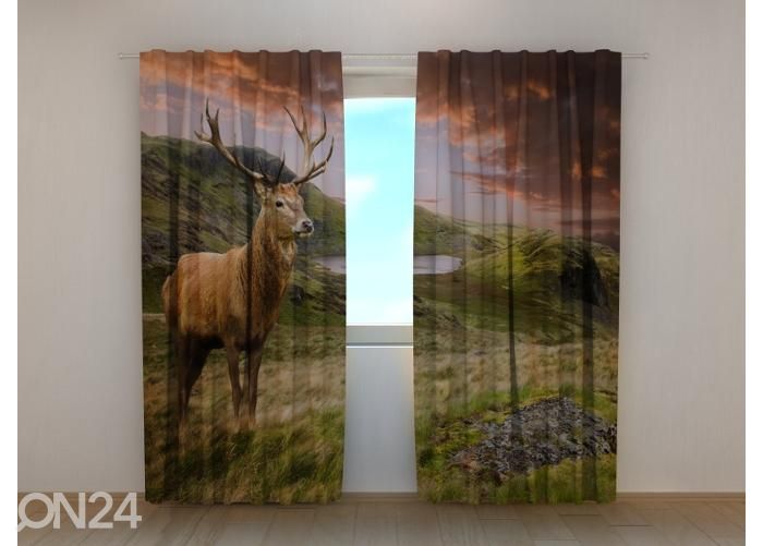 Pimendav fotokardin Red Deer at Sunset 240x220 cm suurendatud