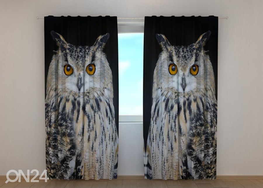 Pimendav kardin Attentive Owl suurendatud