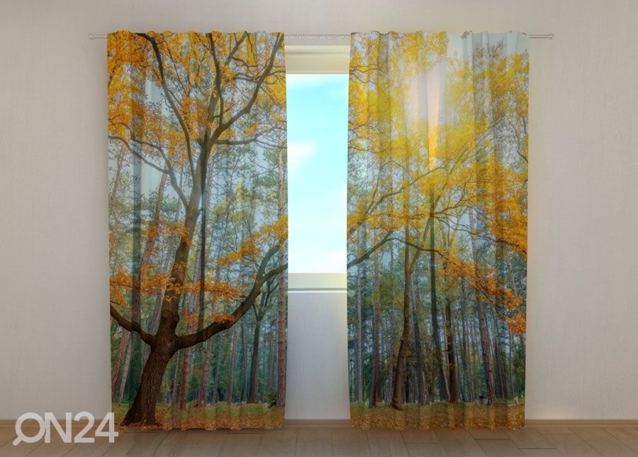Pimendav kardin Sun in the Forest 240x220 cm suurendatud