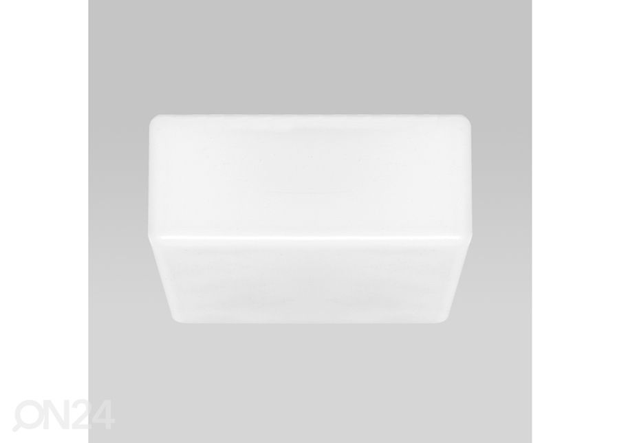 Plafoon Blank suurendatud