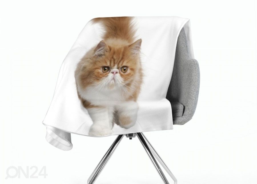 Pleed Fluffy Cat 130x150 cm suurendatud