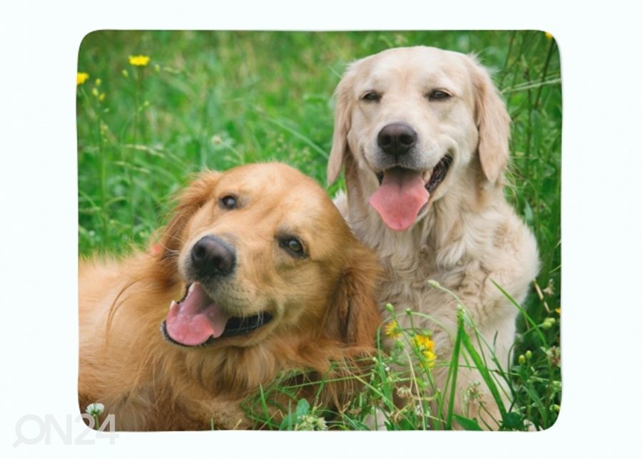 Pleed Labradors Retrievers in the Meadow 130x150 cm suurendatud