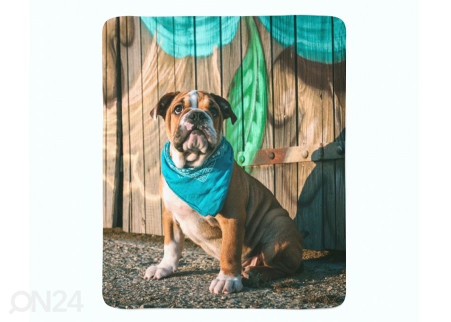 Pleed Stylish English Bulldog Puppy 130x150 cm suurendatud