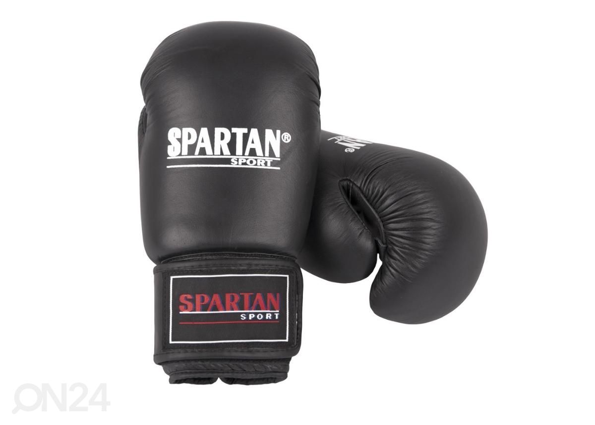 Poksikindad Top Ten Spartan suurendatud