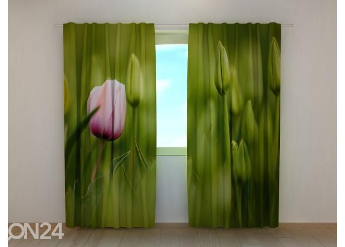 Poolpimendav fotokardin First Pink Tulip 240x220 cm suurendatud