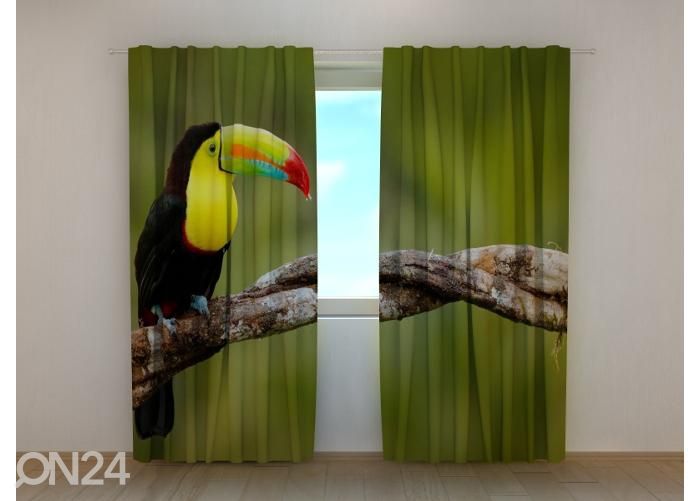 Poolpimendav fotokardin Toucan on the Branch 240x220 cm suurendatud