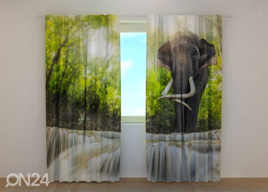 Poolpimendav kardin Big Elephant 240x220 cm suurendatud
