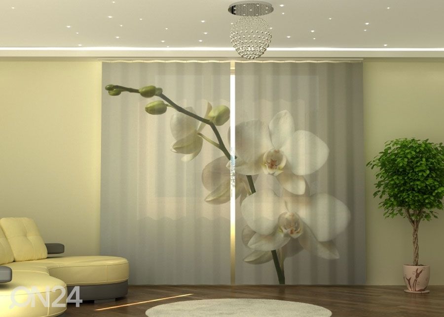 Poolpimendav kardin Riga Orchid 290x245 cm suurendatud