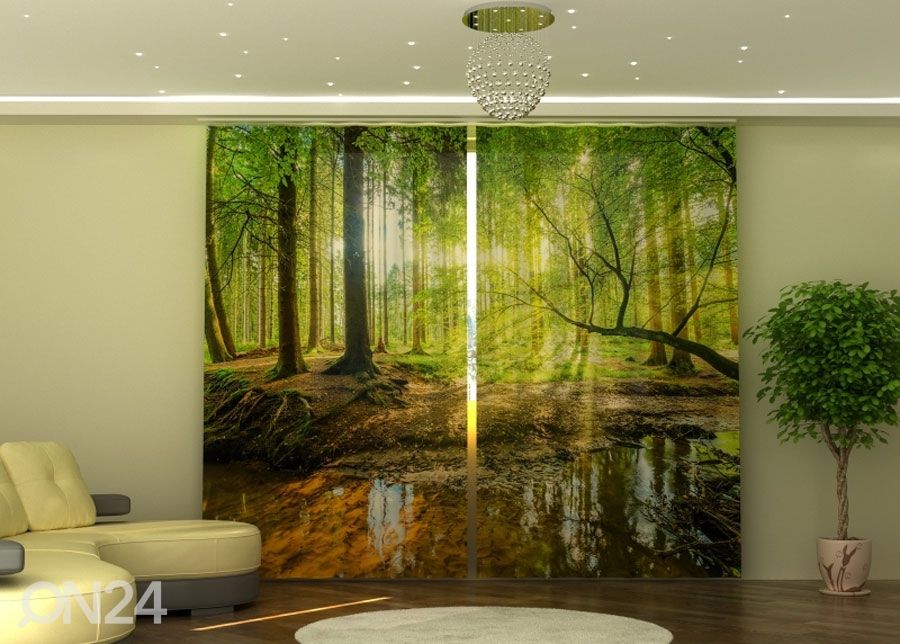 Poolpimendav kardin Sunbeams in the Forest 290x245 cm suurendatud