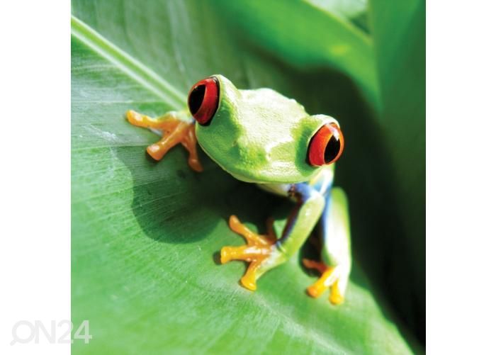 Põrandakleebis Frog 170x170 cm suurendatud