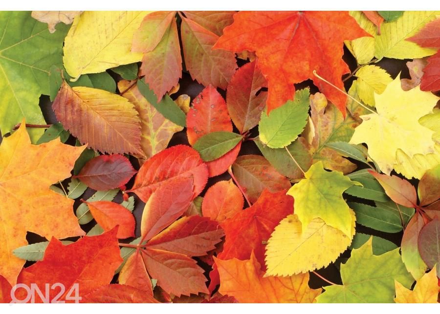 Põrandakleebis Leaves 255x170 cm suurendatud