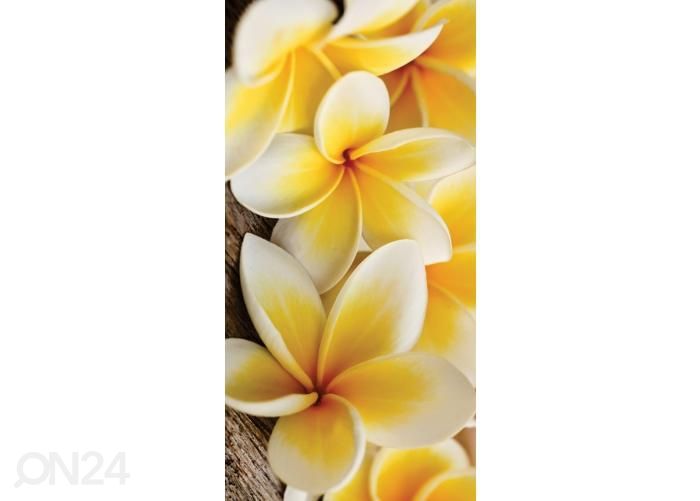 Põrandakleebis Plumeria 85x170 cm suurendatud