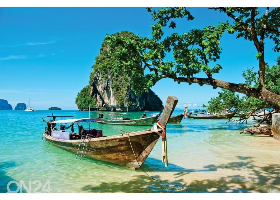 Põrandakleebis Thai-Boot 255x170 cm suurendatud