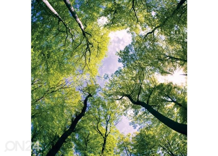 Põrandakleebis Trees 170x170 cm suurendatud