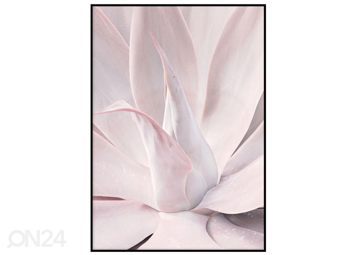 Poster Cactus 40x50 cm suurendatud