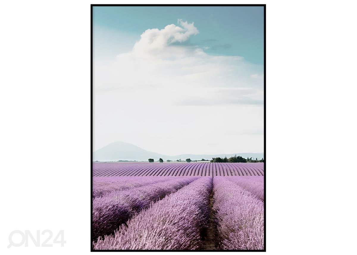 Poster Lavendlid 70x100 cm suurendatud