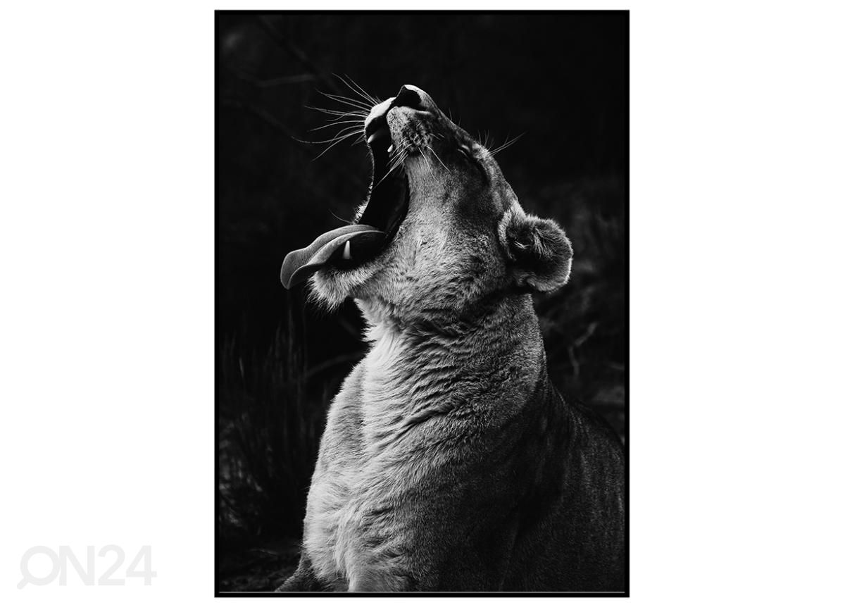 Poster Must-valge tiiger 40x50 cm suurendatud