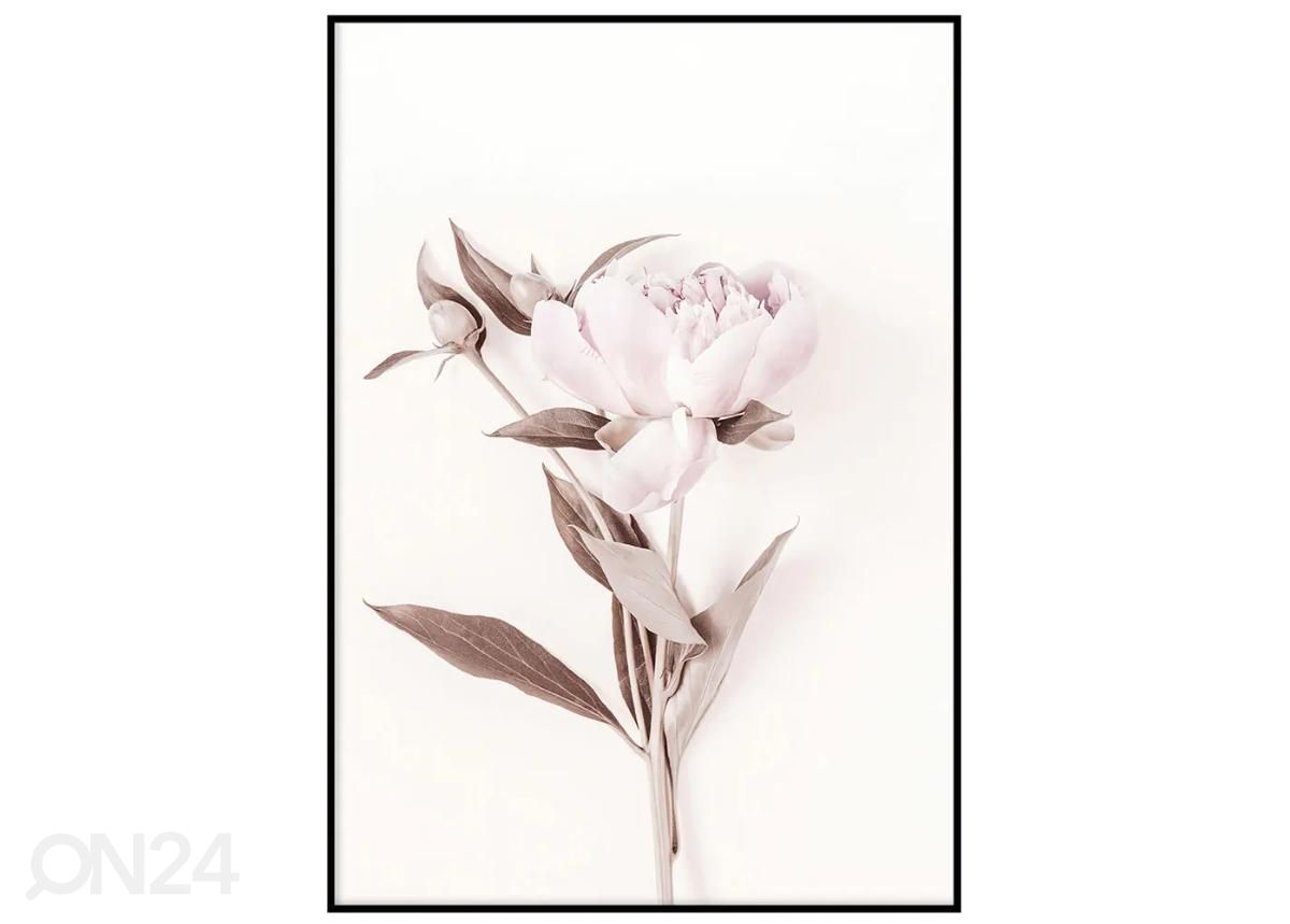 Poster Pastelne roosa I 40x50 cm suurendatud