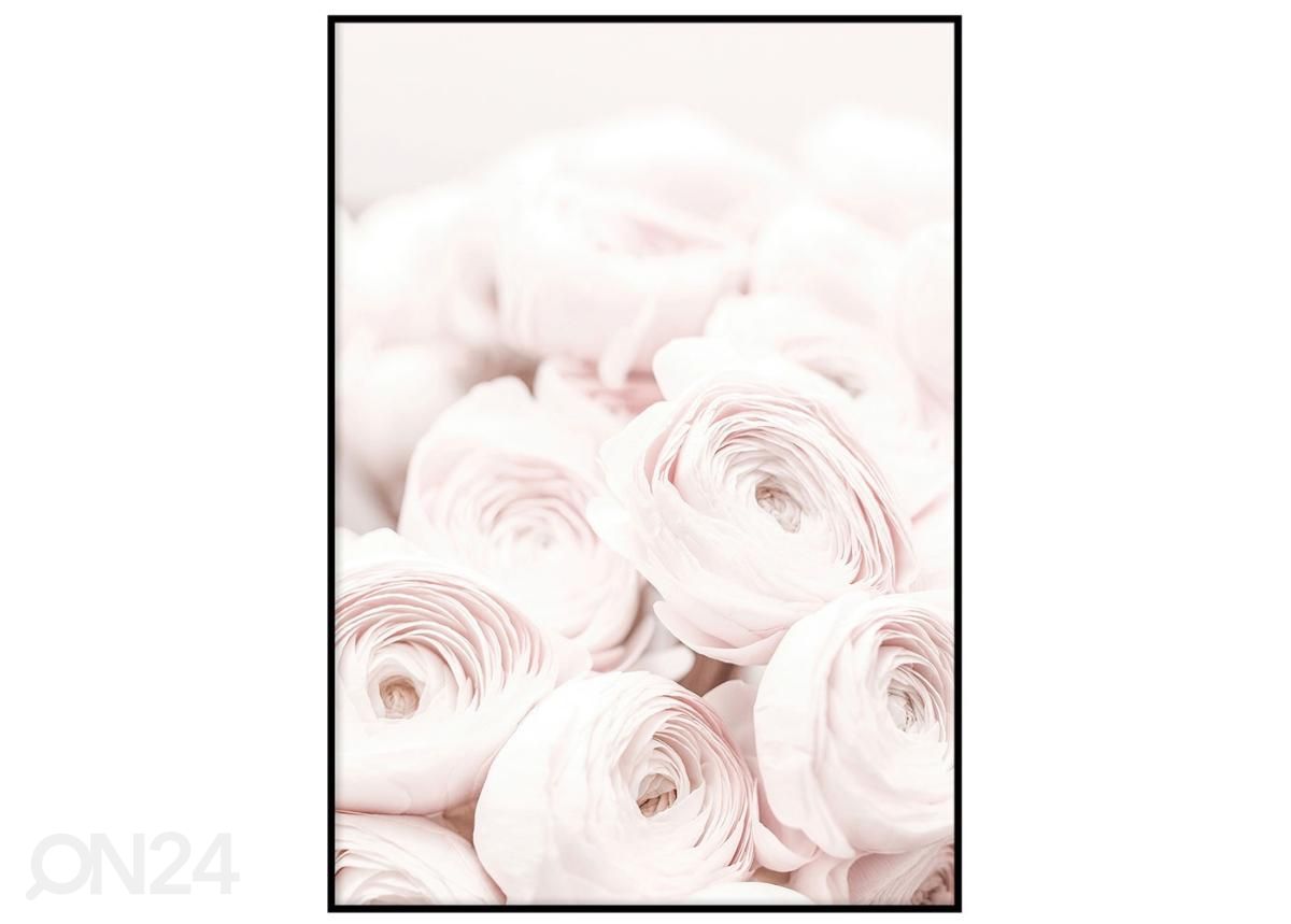 Poster Pastelne roosa II 70x100 cm suurendatud
