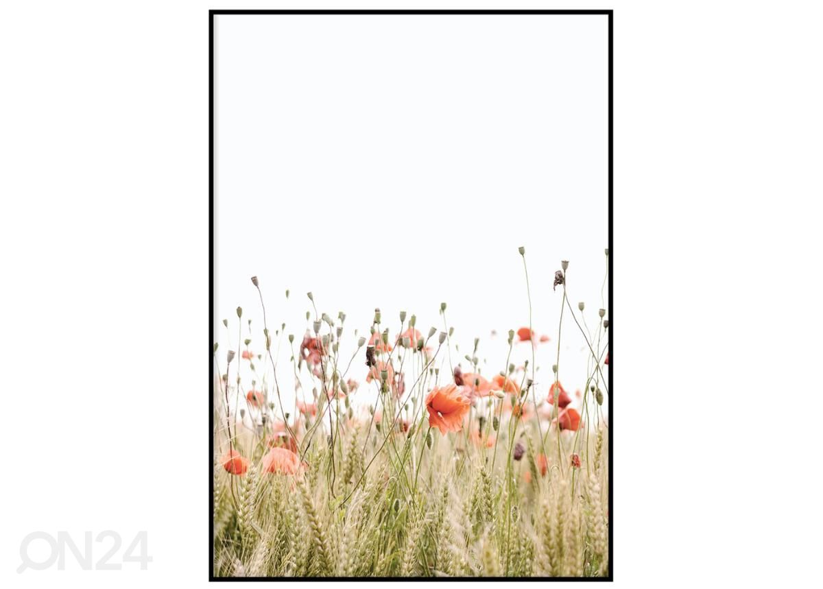 Poster Poppies II 40x50 cm suurendatud