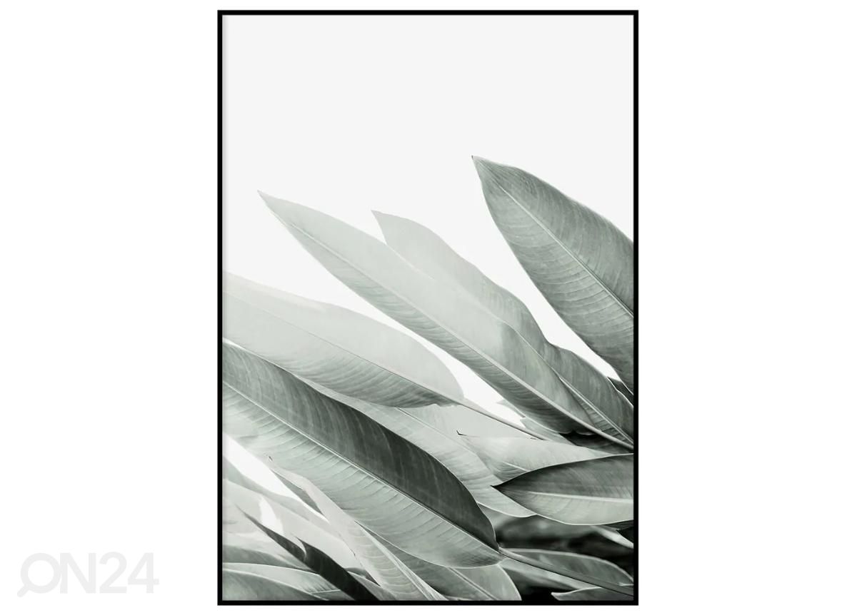 Poster Rohelised lehed II 70x100 cm suurendatud