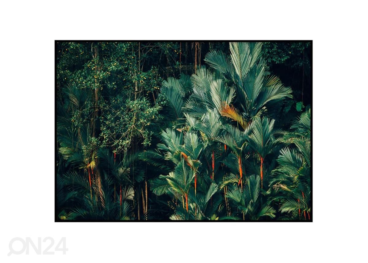 Poster Troopiline vihmamets 40x50 cm suurendatud