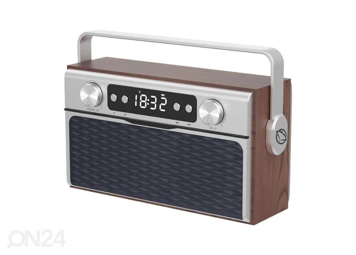 Raadio Manta RDI917PRO suurendatud