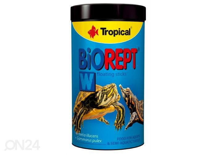 Reptiilide täissööt biorept w 250 ml suurendatud