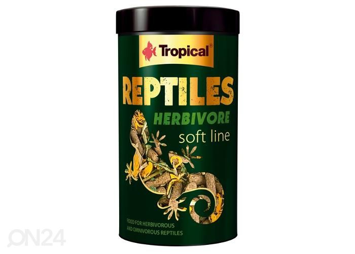 Reptiilide täissööt herbivore 250 ml suurendatud