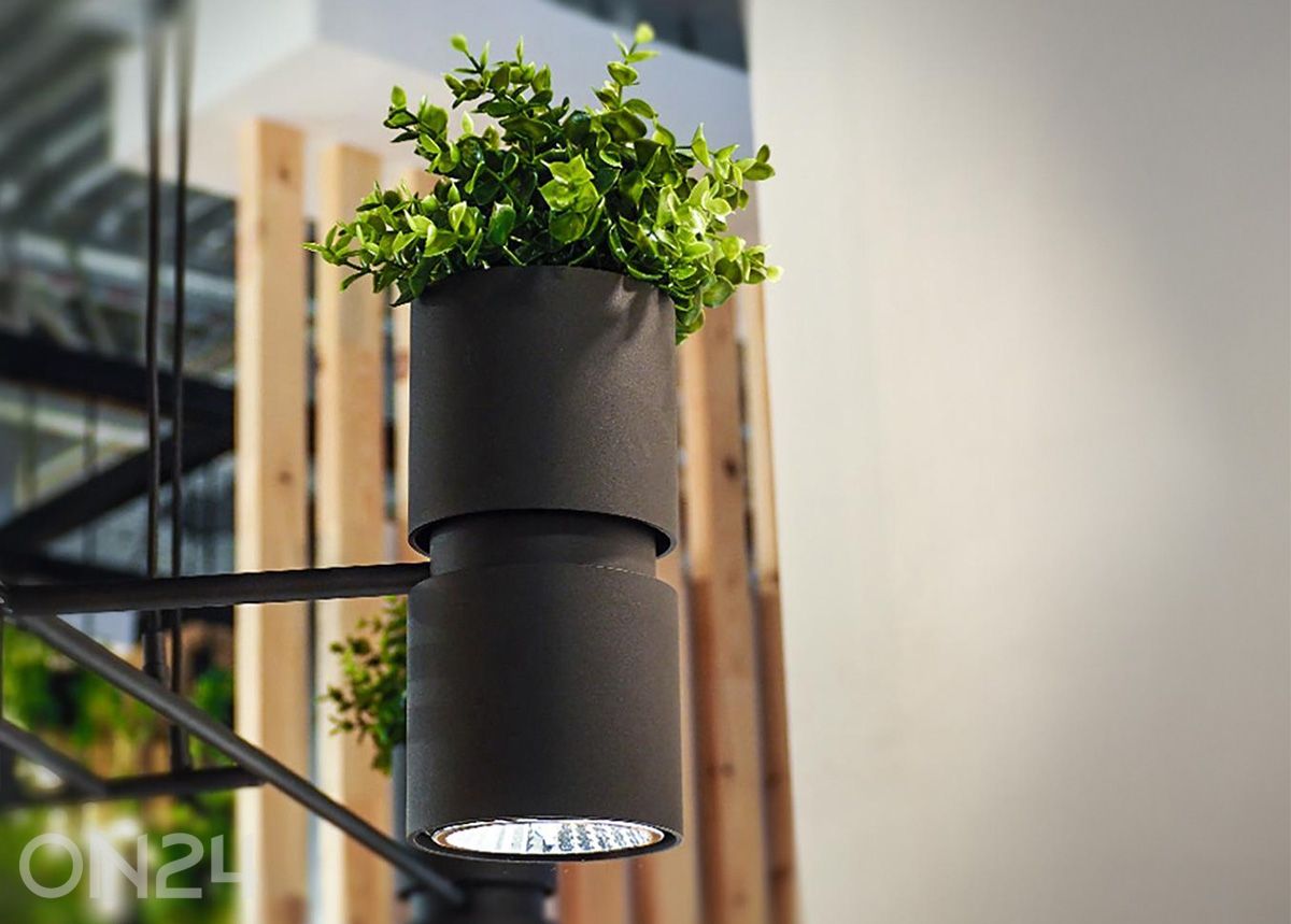 Seinalamp Kukkia, must suurendatud