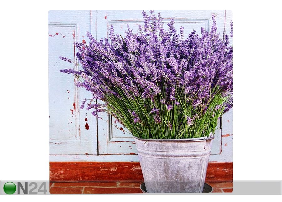 Seinapilt Lavendel potis suurendatud