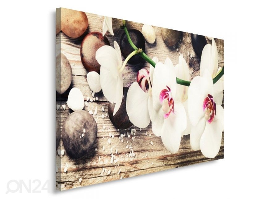 Seinapilt Orchid 70x100 cm suurendatud