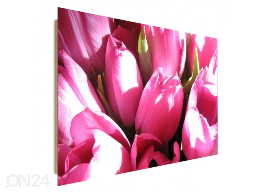 Seinapilt Pink tulips 30x40 cm suurendatud
