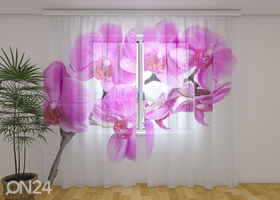 Šifoon-fotokardin Crimson happiness 240x220 cm suurendatud