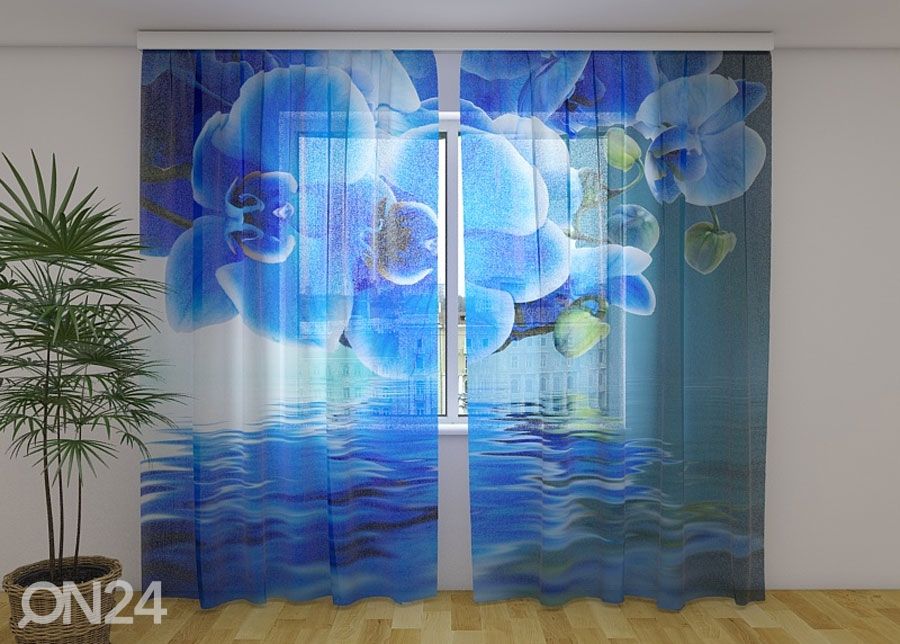 Šifoon-fotokardin Sapphire orchid 240x220 cm suurendatud