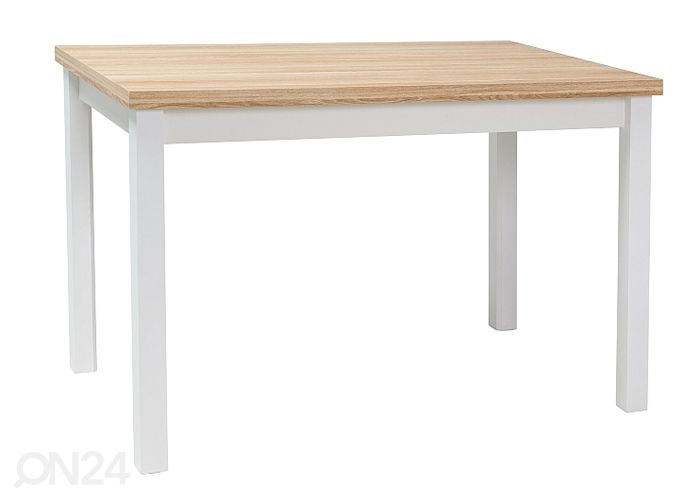 Söögilaud Robert 100x60 cm suurendatud
