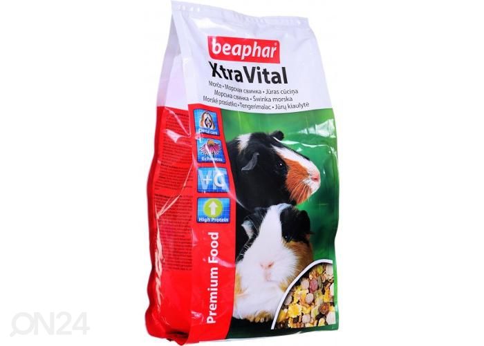 Täissööt Beaphar Extra Vital Guinea Pig täisratsiooniline toit merisigadele 1 kg suurendatud