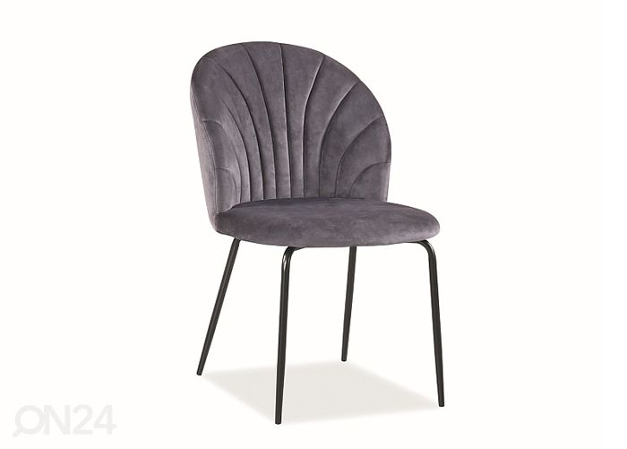 Tool Lola velvet hall suurendatud