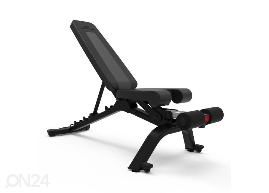 Treeningpink Bowflex 4.1S 100918 suurendatud