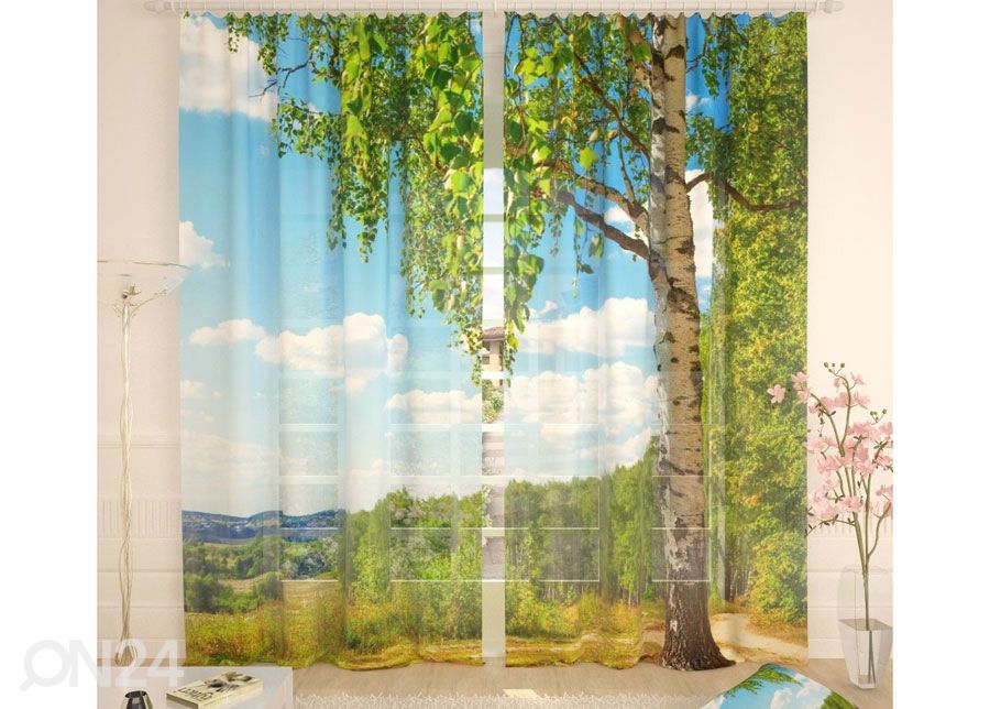 Tüllkardin Birch 400x260 cm suurendatud