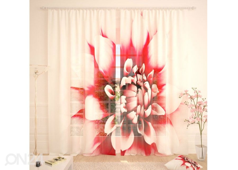 Tüllkardin Dahlia 400x260 cm suurendatud