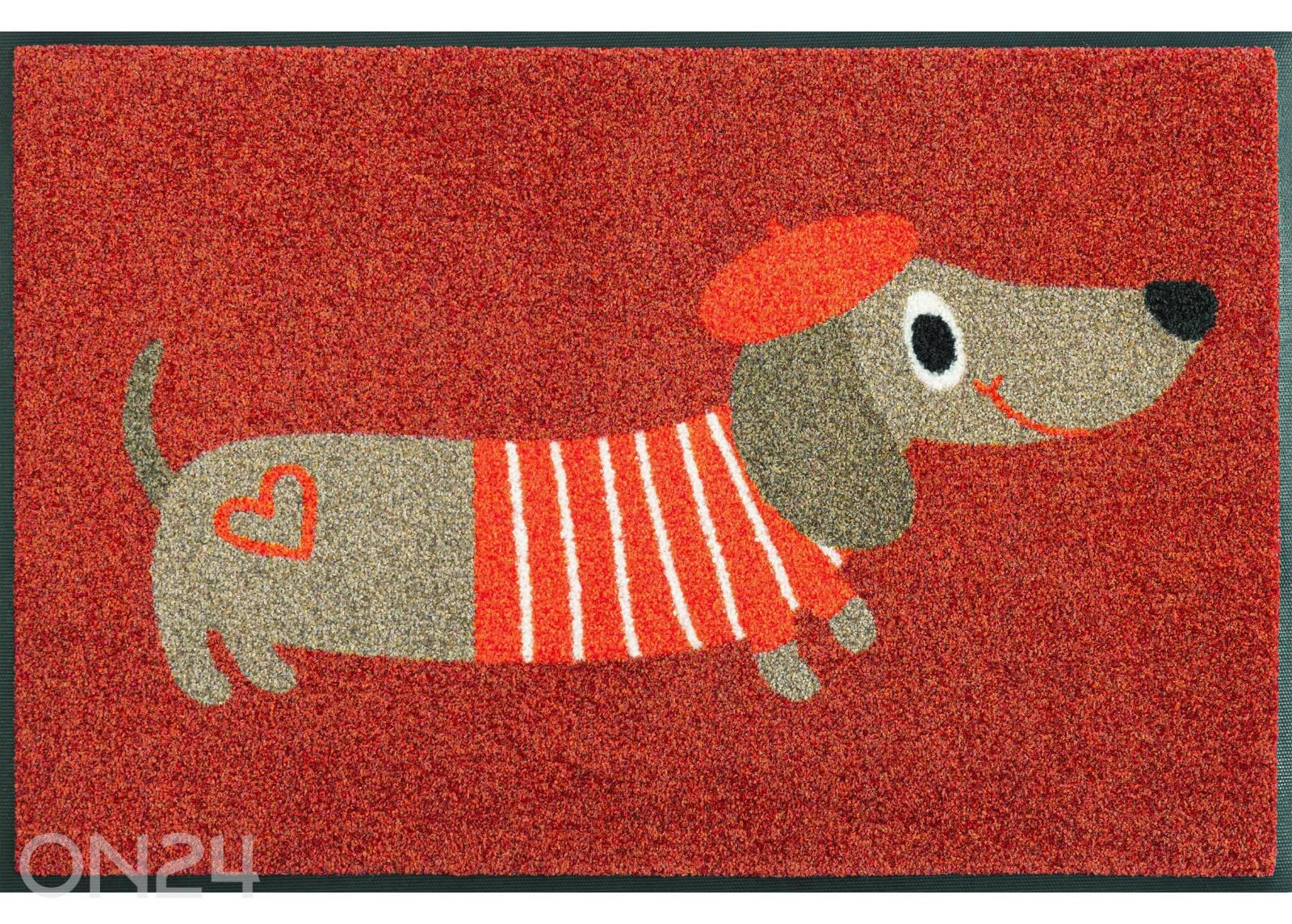 Uksematt Monsieur Chien 50x75 cm suurendatud