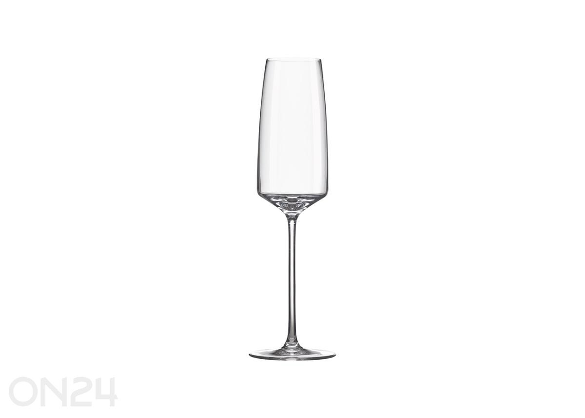 Vahuveiniklaas Vista 25 cl, 6 tk suurendatud