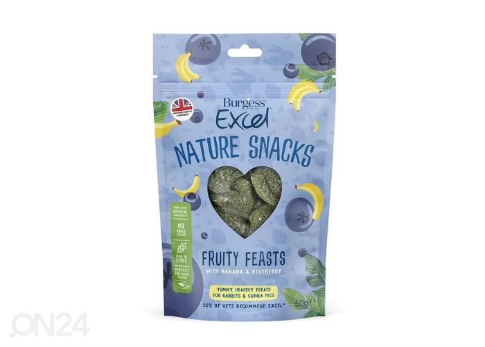 Väikelooma maius fruity feasts 60g suurendatud