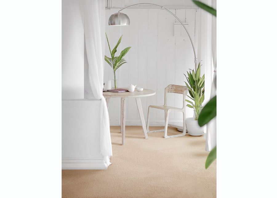 Vaip Cashmere Velvet 140x200 cm suurendatud