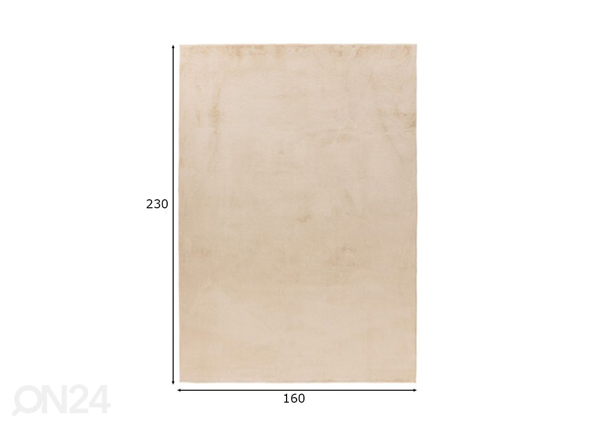 Vaip LOFT Beige 160x230 cm suurendatud mõõdud
